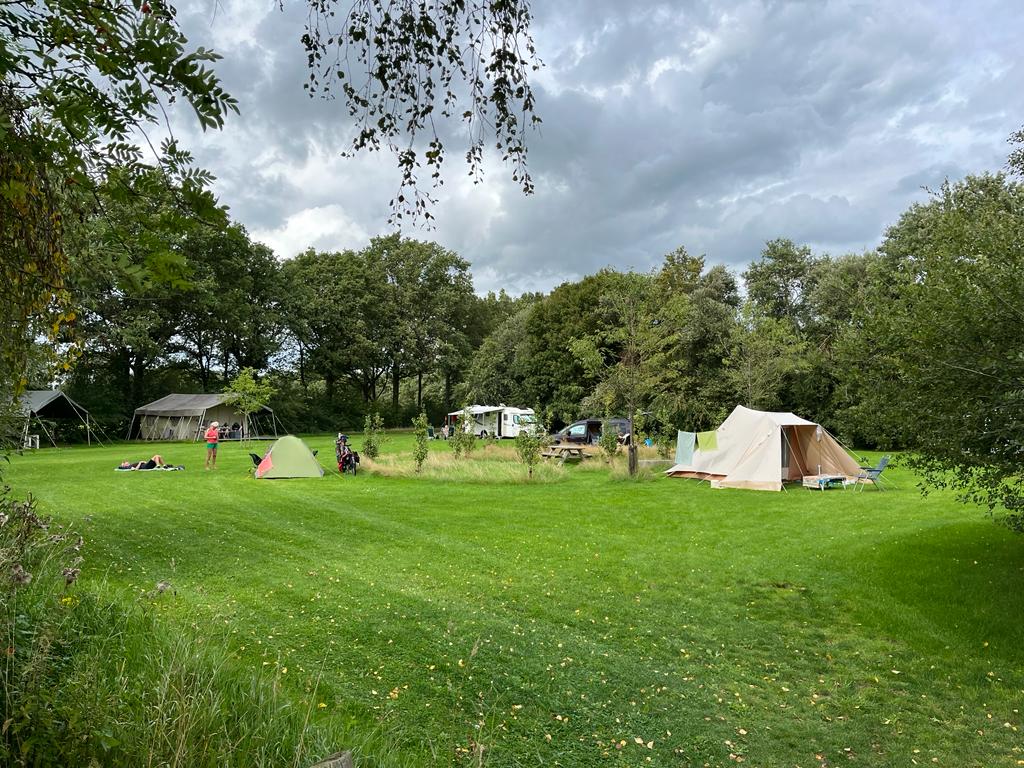 Knus kampeerveld met ruime staanplaatsen