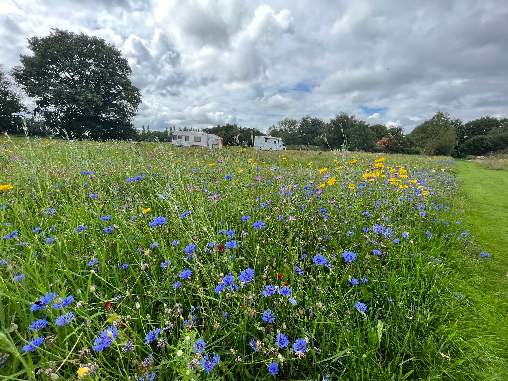 Natuurkampeerterrein nabij Beetsterzwaag
