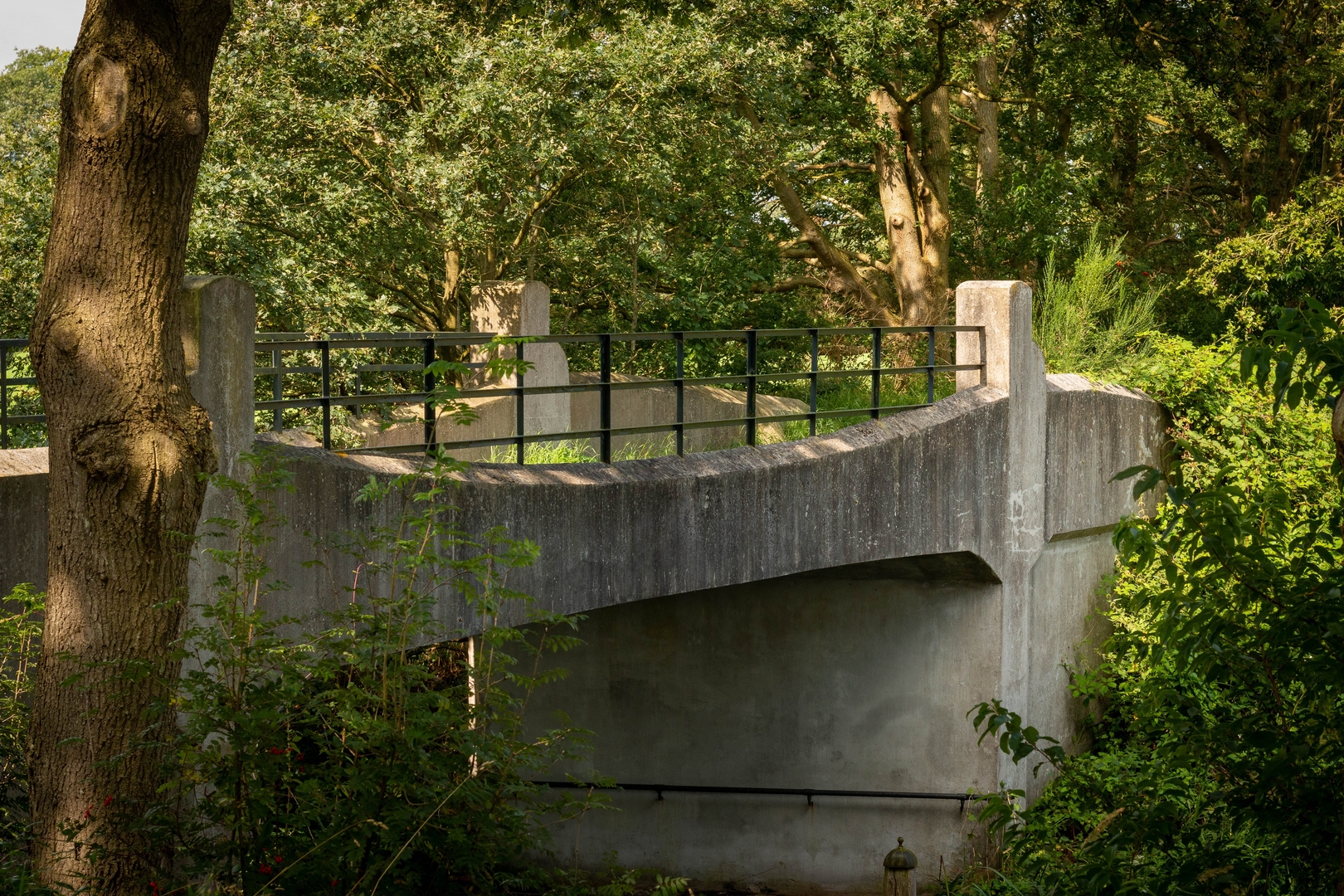 Historische trambrug bij natuurgebied naast de camping