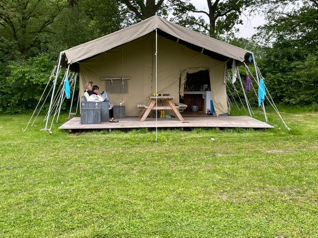 Verhuur safaritent op natuurcamping in Zuid oost Friesland