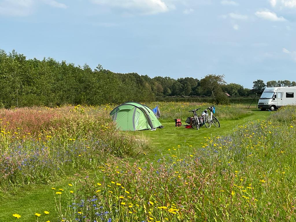 Ruime kampeerplaats met veel privacy